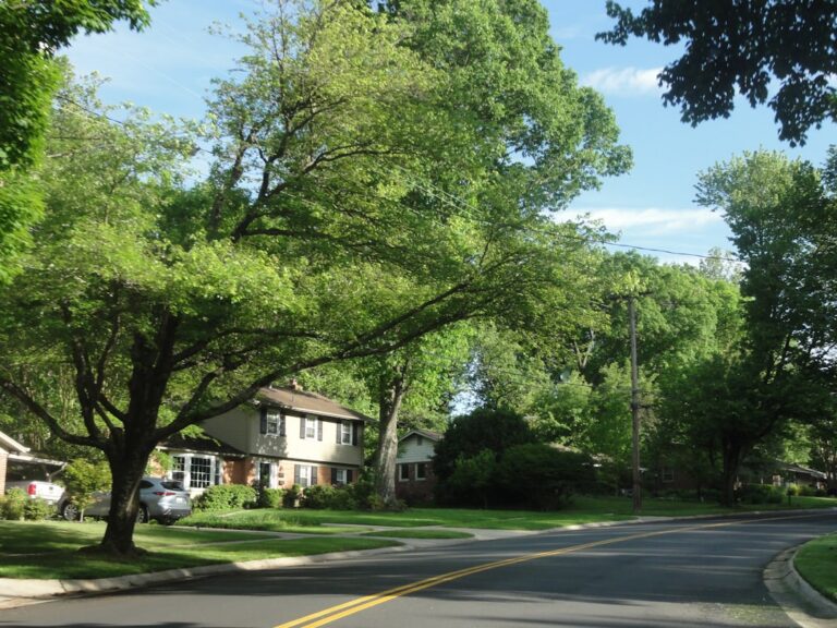 Suburban Omaha-area neighborhood street for article about why similar homes sell for different prices