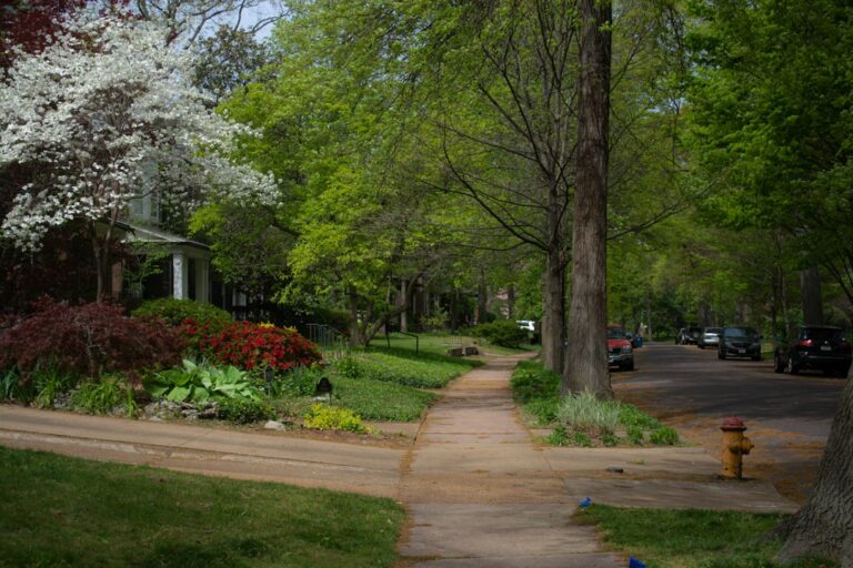 Residential subdivision homes illustrating HOA and SID considerations for Omaha-area sellers