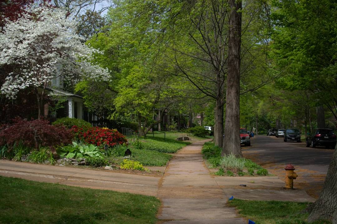 Residential subdivision homes illustrating HOA and SID considerations for Omaha-area sellers